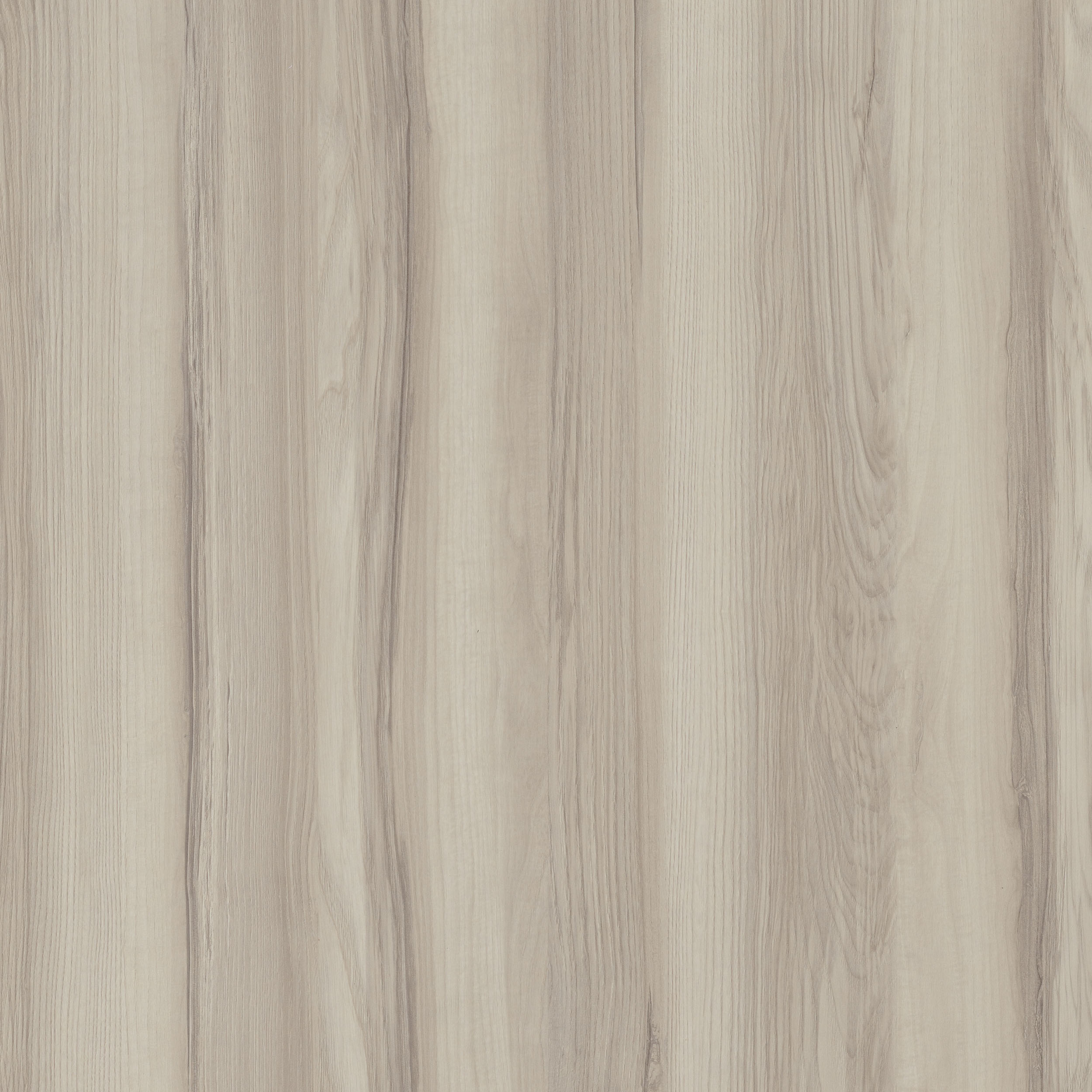 奧里諾科水曲柳